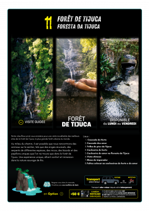 Visite : forêt de Tijuca