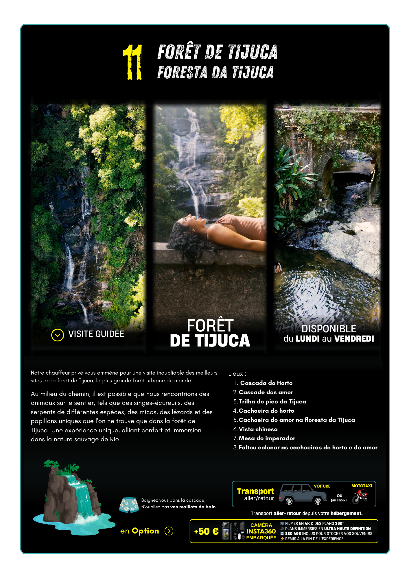 Visite : forêt de Tijuca