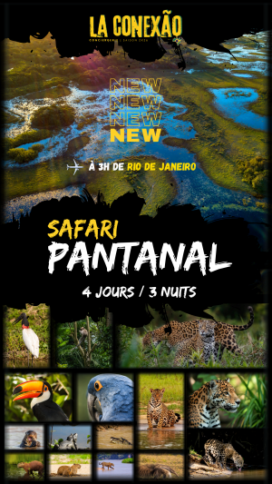 Safari PANTANAL