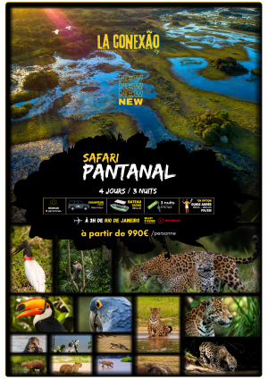 Safari PANTANAL